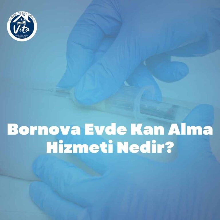 Bornova Evde Kan Alma Hizmeti Nedir?